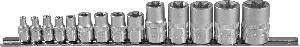 Набор Jonnesway головок торцевых 1/4", 3/8", 1/2"DR, внешний TORX®, на держателе, Е4-E24, 14 предмет